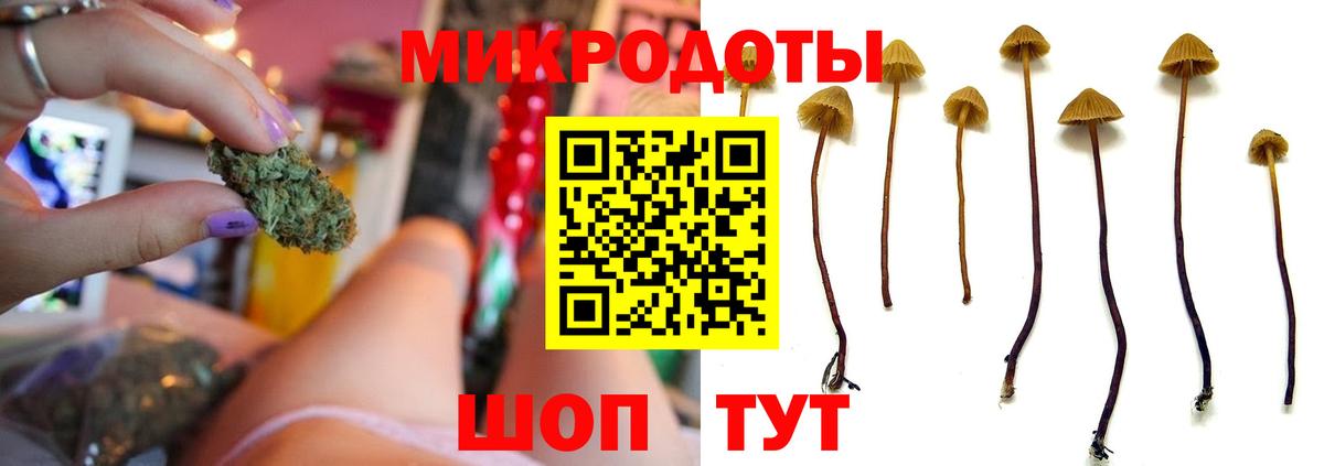 Псилоцибиновые грибы мухоморы  Вход с VPN  Тельмана 